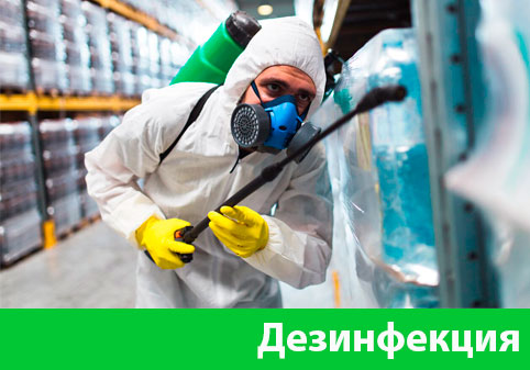 Дезинфекция в городе Новокуйбышевск