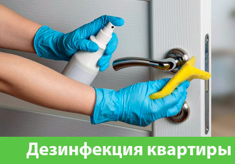 Дезинфекция квартиры в городе Новокуйбышевск