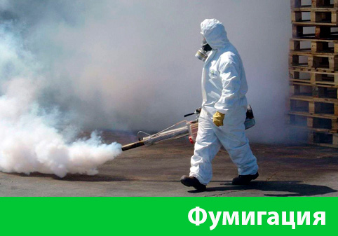 Фумигация в городе Новокуйбышевск