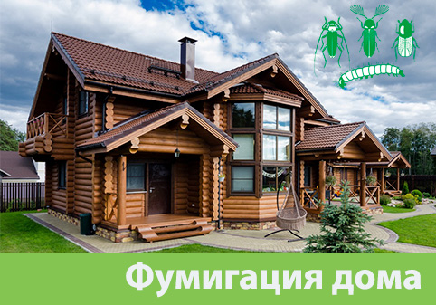 Преимущества обработки газом в городе Новокуйбышевск