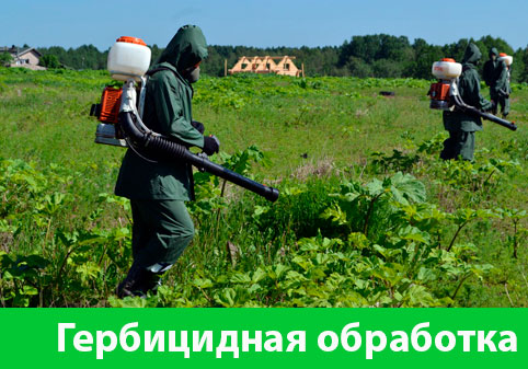 Гербицидная обработка в городе Новокуйбышевск