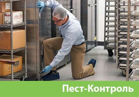 Пэст-Контроль в городе Новокуйбышевск