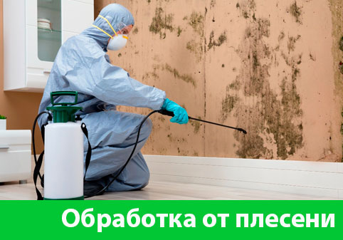 Обработка от плесени в городе Новокуйбышевск