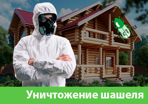 Уничтожение шашеля и личинок в Новокуйбышевске