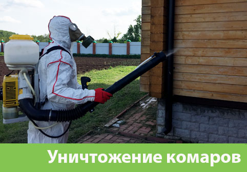 Уничтожение комаров в городе Новокуйбышевск