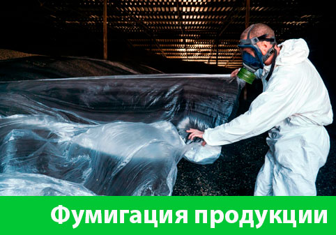 Фумигация продукции в городе Новокуйбышевск